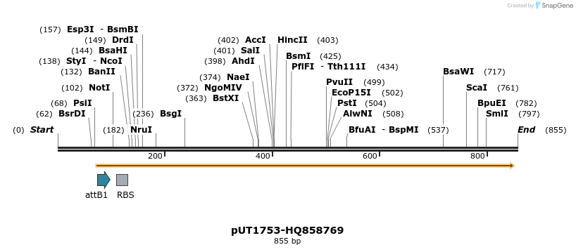 34141_map