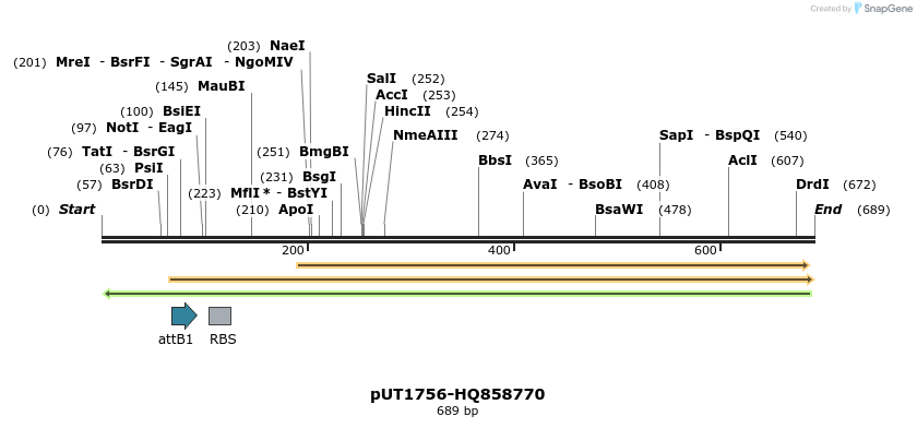 34142_map