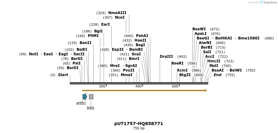 34143_map