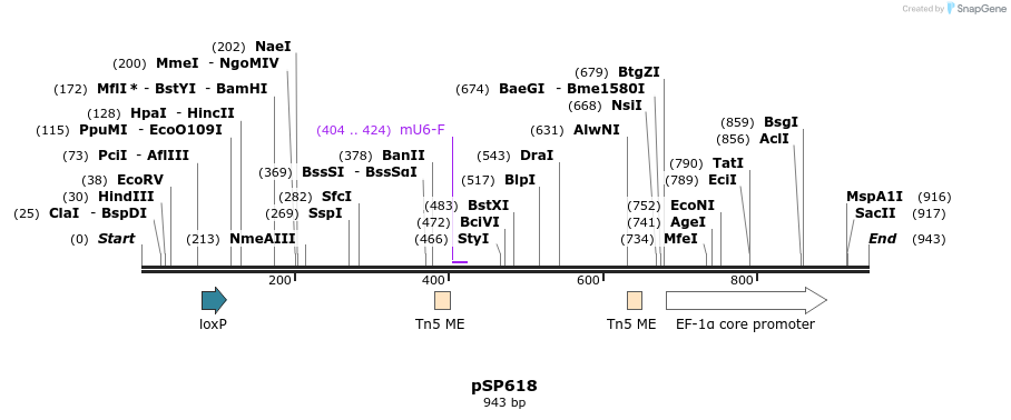 341446_map