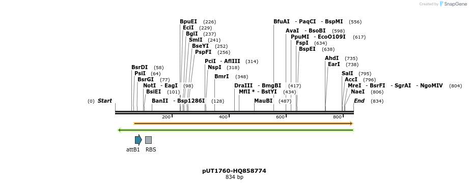 34146_map