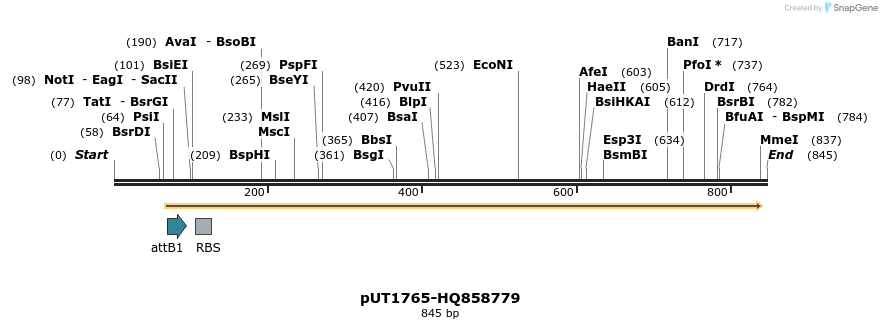 34151_map