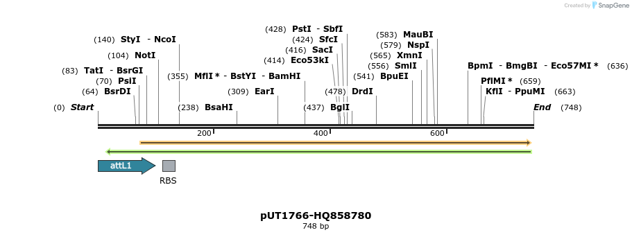 34152_map