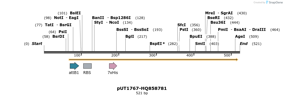 34153_map