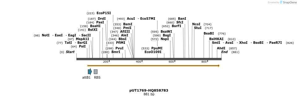 34155_map