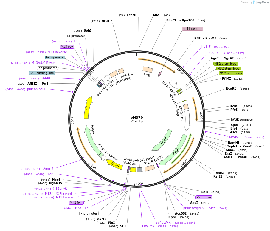 341552_map