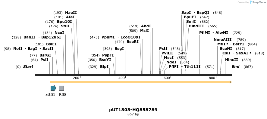 34161_map