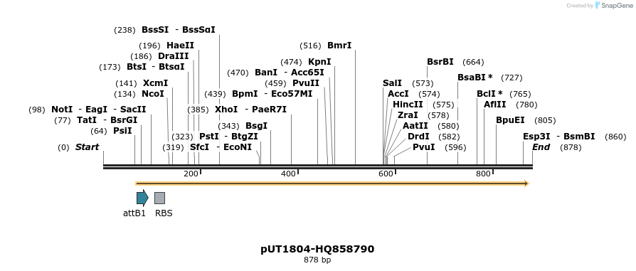 34162_map
