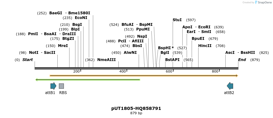 34163_map