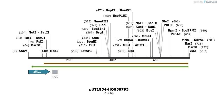 34165_map