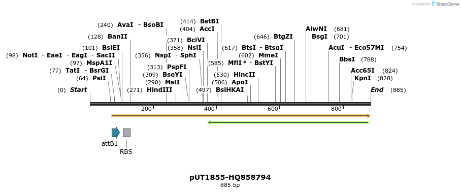 34166_map