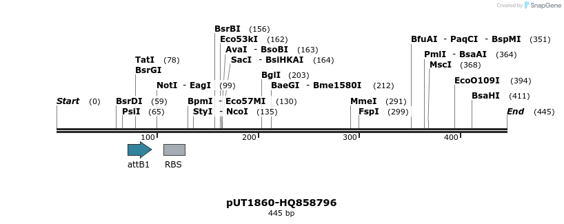 34168_map