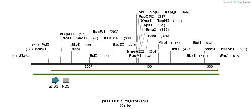 34169_map