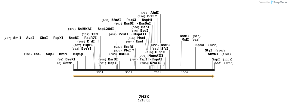 341696_map