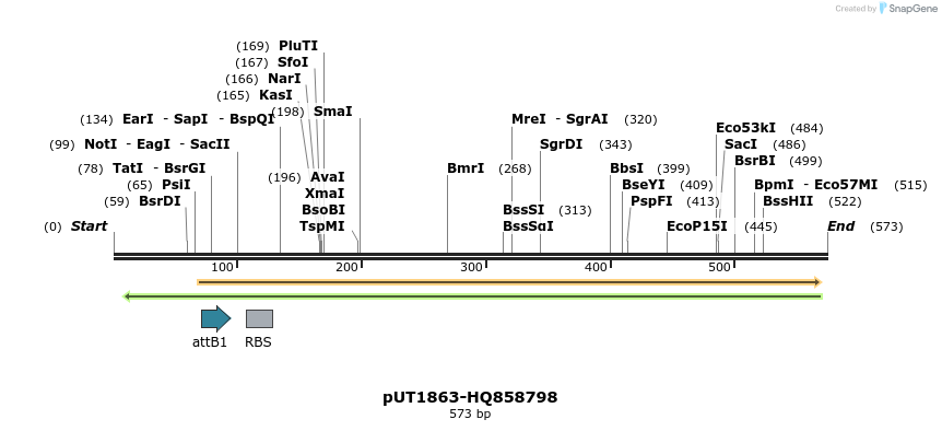 34170_map