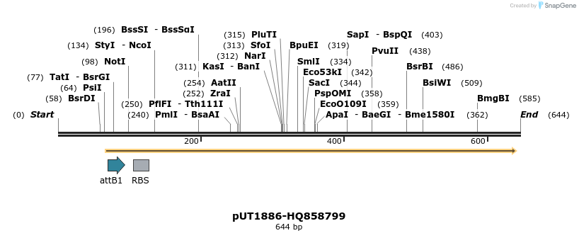 34171_map