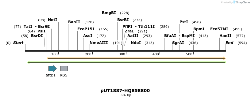 34172_map