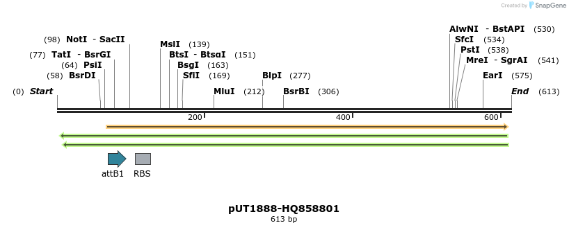 34173_map