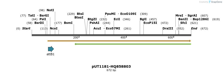 34175_map