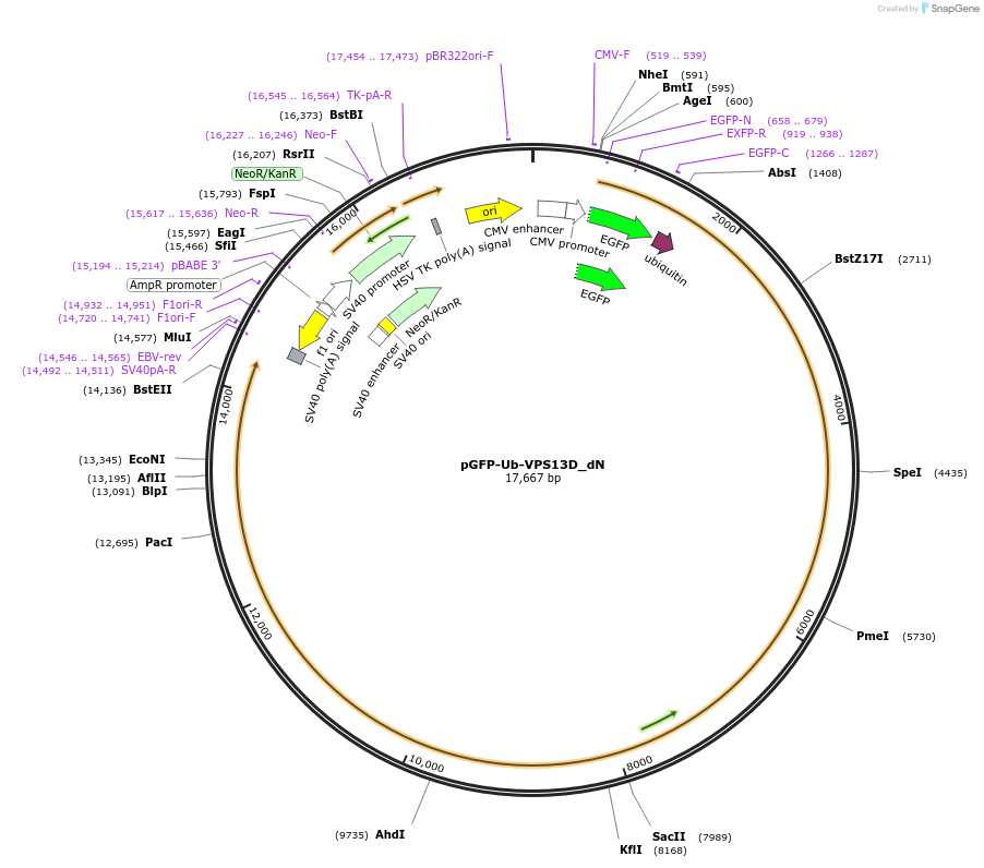 341780_map