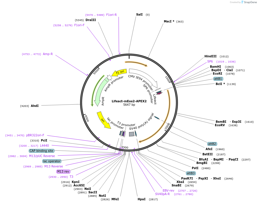341961_map