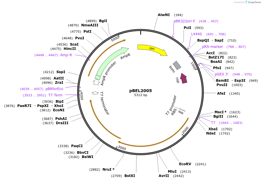 342021_map
