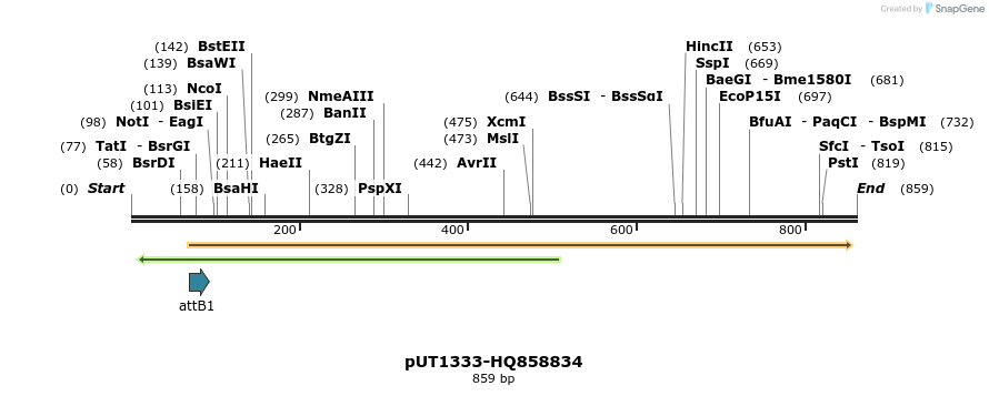 34206_map