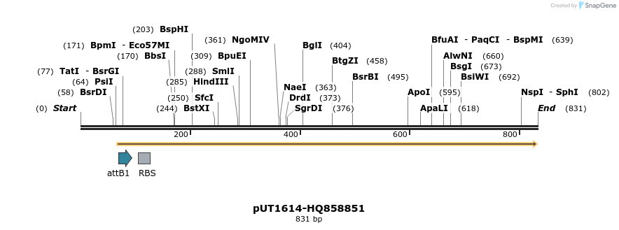 34224_map