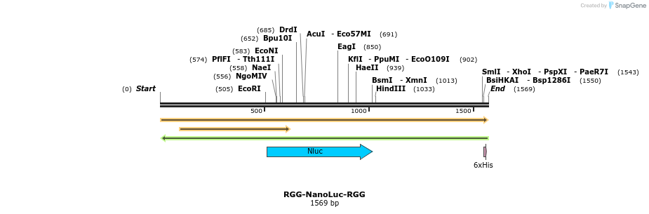 342250_map