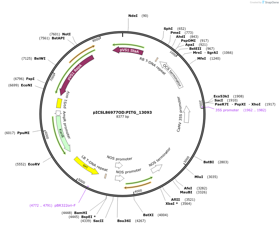 342340_map