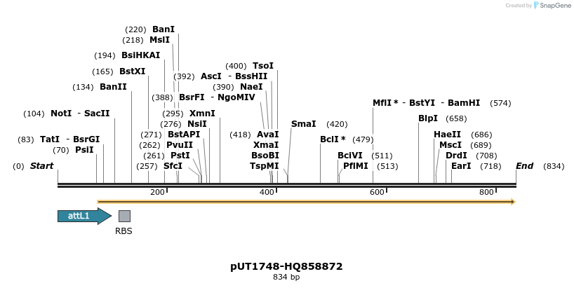 34245_map