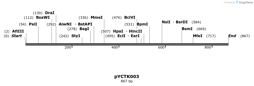 342463_map