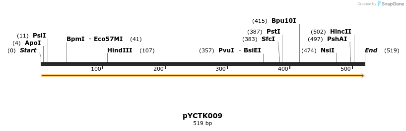 342475_map