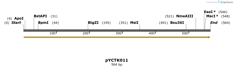 342479_map
