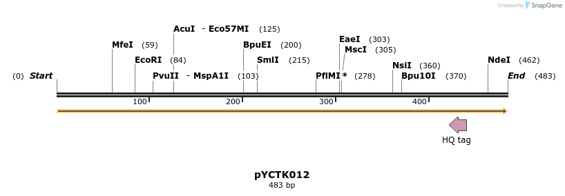 342481_map