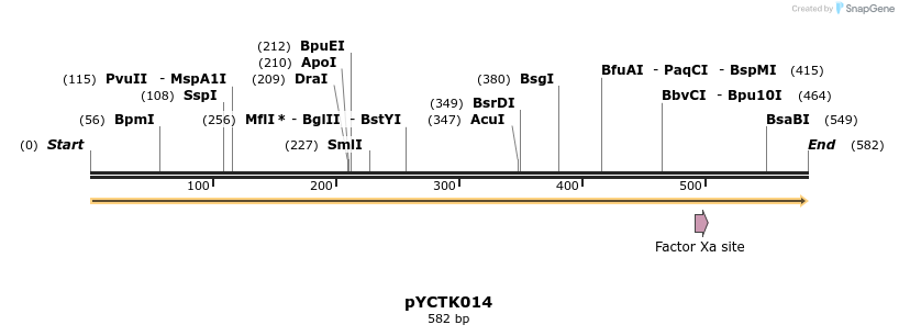 342485_map