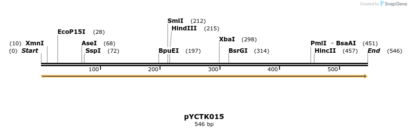 342487_map