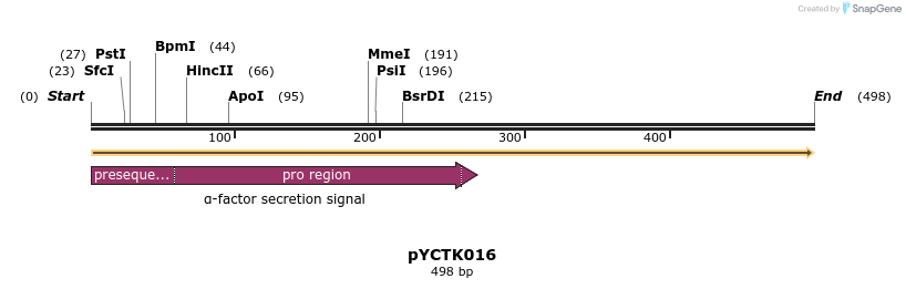 342489_map