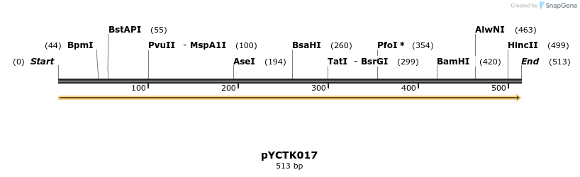 342491_map