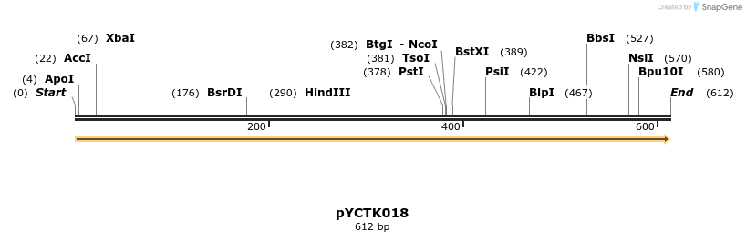 342493_map