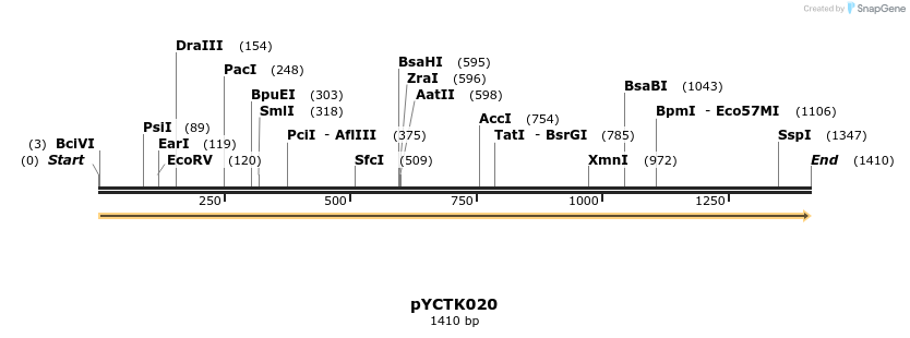 342497_map