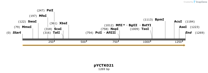342499_map