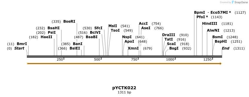 342501_map