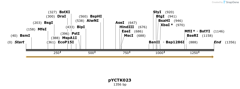 342503_map