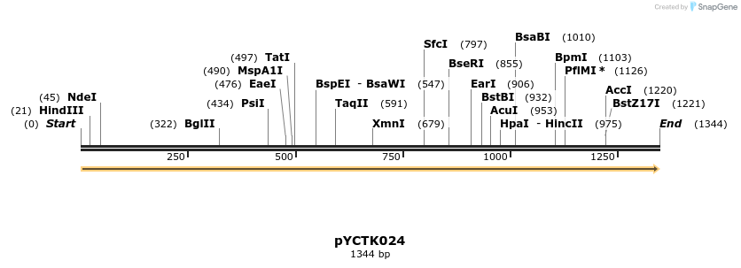 342505_map