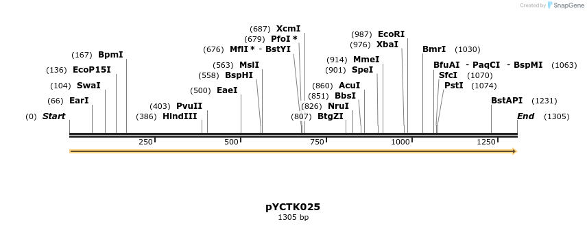 342507_map