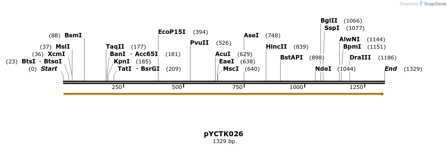 342509_map