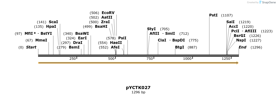 342511_map