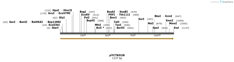 342513_map