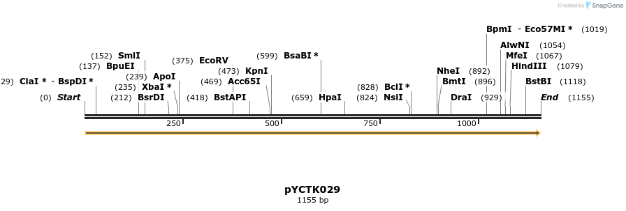 342515_map